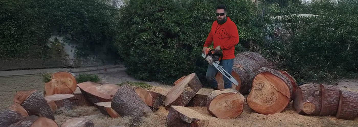 Featured Image for BEAVER BROTHERS TREE SERVICE, LLC